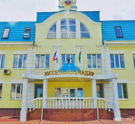 Более 540 тонн зараженной сои запретили экспортировать в Беларусь с территории Орловской области Более 540 тонн зараженной сои запретили экспортировать в Беларусь с территории Орловской области