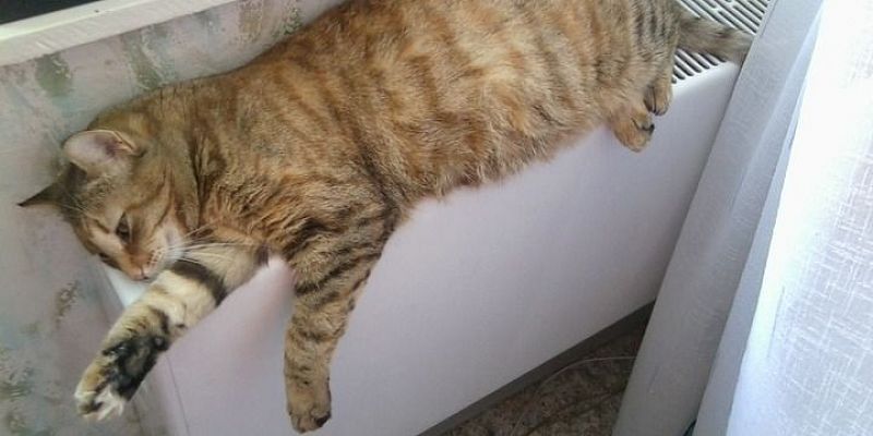 отопительный сезон В ближайшие дни в Орловской области начнется отопительный сезон