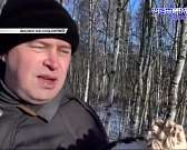 Умер почетный гражданин Орла Разживкин, а Залогина призвали отдать под суд Умер почетный гражданин Орла Разживкин, а Залогина призвали отдать под суд