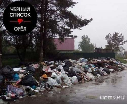 С начала года ни разу не вывозили мусор: в Орле разрастается свалка возле Светлой Жизни С начала года ни разу не вывозили мусор: в Орле разрастается свалка возле Светлой Жизни