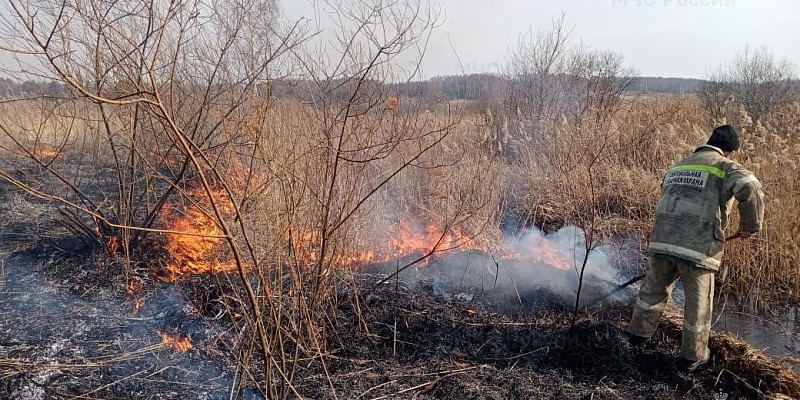 пожар возгорание сухой травы мчс Орловские пожарные за сутки четырежды тушили возгорания сухой травы
