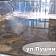 В «Море рыбы» много деликатессных сортов, рыбных полуфабрикатов и креветок