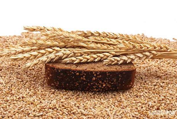 В Орле 62 работника хлебной базы получили зарплату после вмешательства следователей В Орле 62 работника хлебной базы получили зарплату после вмешательства следователей