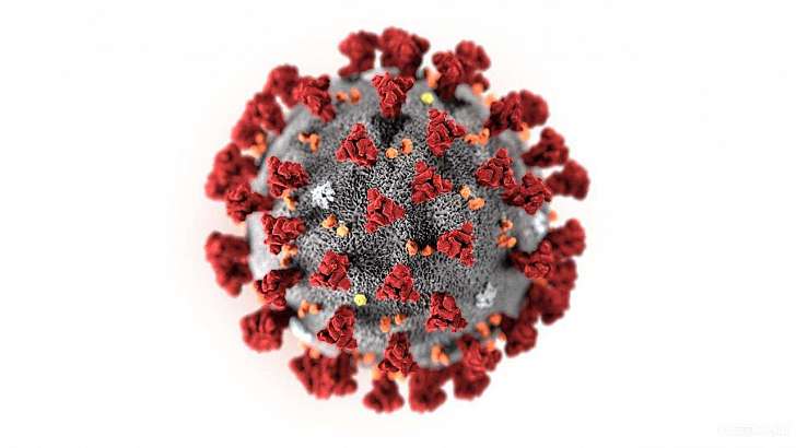 Статистика Орловщины пополнилась еще двумя летальными случаями COVID-19 Статистика Орловщины пополнилась еще двумя летальными случаями COVID-19