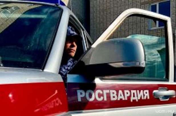 Воришки пытались вынести из орловских супермаркетов алкоголь и закуску Воришки пытались вынести из орловских супермаркетов алкоголь и закуску