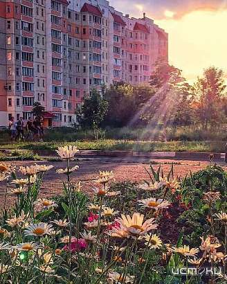 Четверг будет жарким Четверг будет жарким