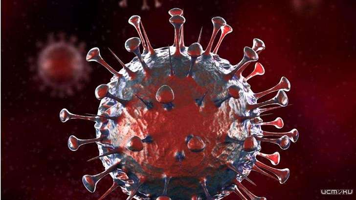 В Орловской области за сутки коронавирусом заразился ещё 61 человек В Орловской области за сутки коронавирусом заразился ещё 61 человек