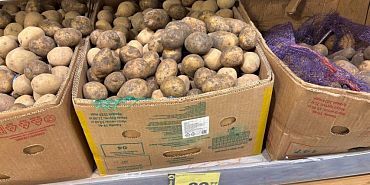 цены на продукты цены на овощи картошка подорожала Орловчан волнует подорожание овощей