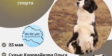 кинологический клуб орлиное гнездо собачий фристайл На собачий фристайл в Орле приглашают хозяев и их питомцев