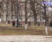 Исторический яблоневый сад в городском парке культуры и отдыха решили возродить. Новые яблони дарит городу орловская компания «32» Исторический яблоневый сад в городском парке культуры и отдыха решили возродить. Новые яблони дарит городу орловская компания «32»