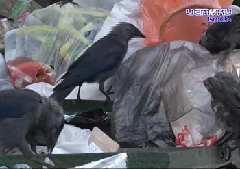 Дарвина дом 6 Дарвина дом 6