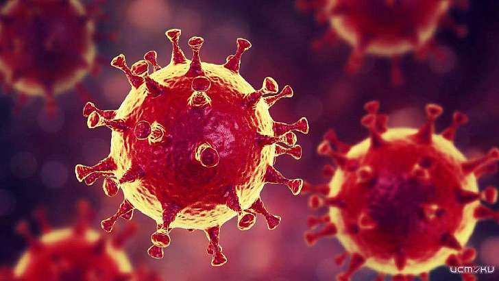 Ситуация по COVID сложная: Орловщина вошла в число «красных» регионов Ситуация по COVID сложная: Орловщина вошла в число «красных» регионов