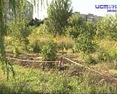 Первый мобильный технопарк презентовали в Орле, а жители региона могут за поездки платить дешевле Первый мобильный технопарк презентовали в Орле, а жители региона могут за поездки платить дешевле