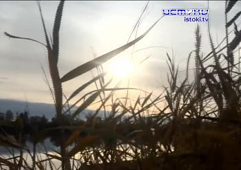 Велосипедист опубликовал видео тротуарной плитки, которая начала уходить под землю, Велосипедист опубликовал видео тротуарной плитки, которая начала уходить под землю,