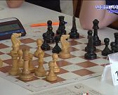 200 спортсменов из 12 субъектов РФ: в Орле проходит Всероссийский шахматный фестиваль 200 спортсменов из 12 субъектов РФ: в Орле проходит Всероссийский шахматный фестиваль