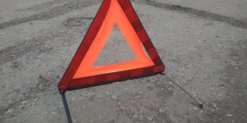 дтп Под Орлом в аварии с кабаном пострадала женщина