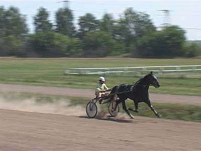 Соревнования на ипподроме Соревнования на ипподроме