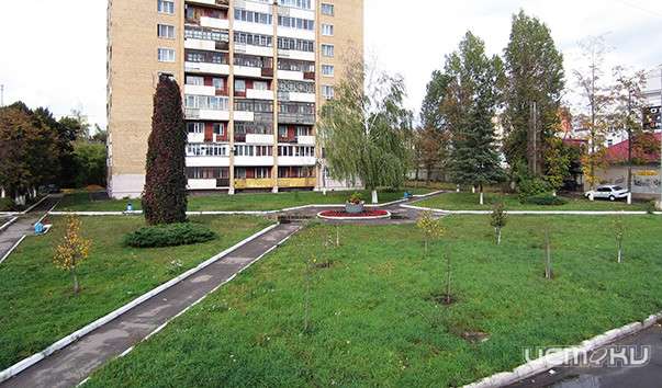 По предложению космонавта сквер в Орле могут назвать именем Альберта Иванова