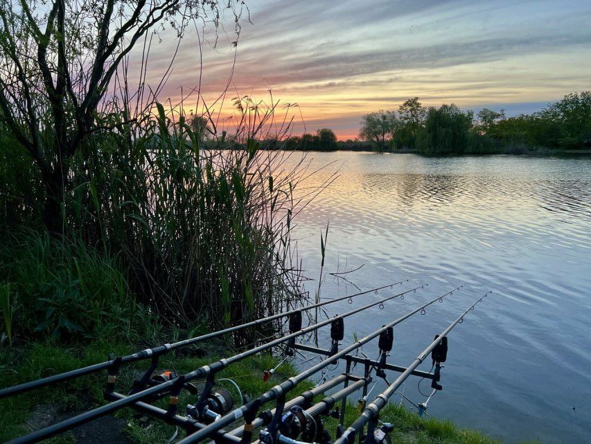 Вот моя деревня, вот мой дом родной: орловчане стали активнее в сети