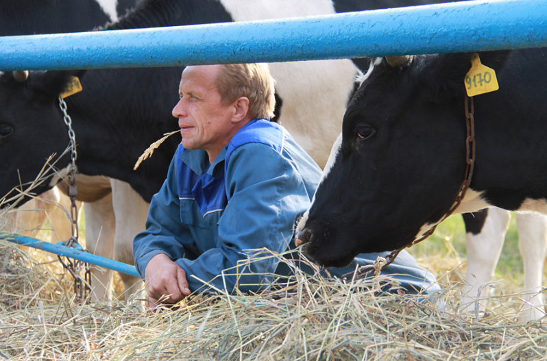 Орловских фермеров поддержат на 35 млн рублей