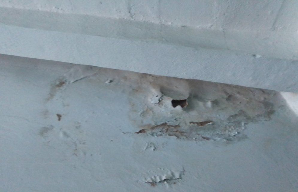 Глазами очевидцев: орловчанин показал последствия потопа в своем подъезде, а также сфотографировал требующий ремонта фасад дома