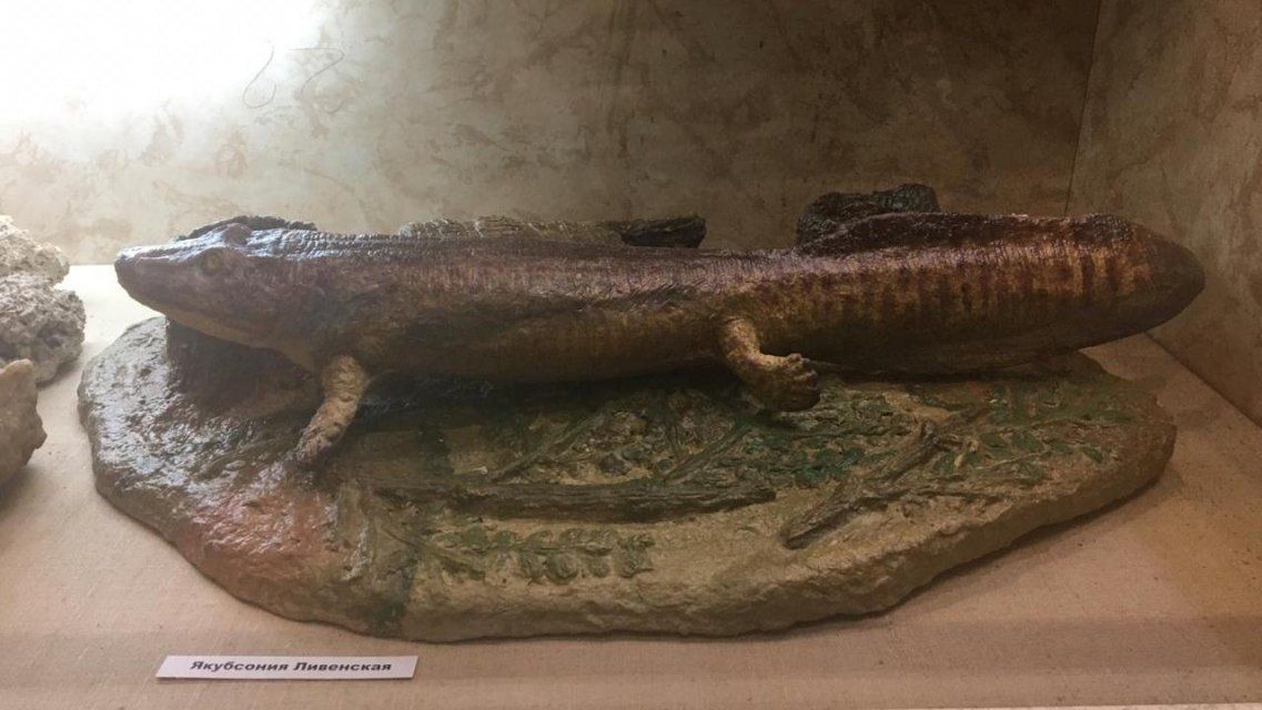 В Ливны завезли останки древней рептилии