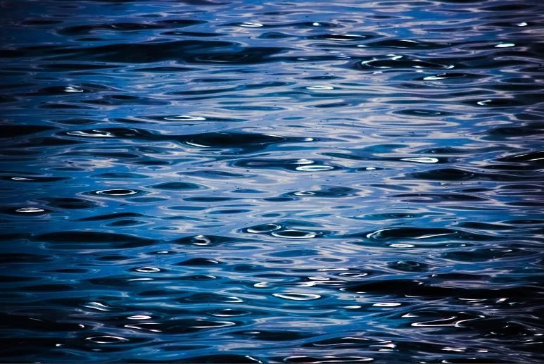 В Орловской области утонул мужчина 