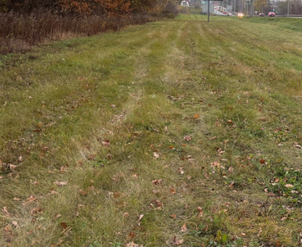 1-ю зам. главы администрации Орловского муниципального округа отправили под арест