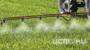 Орловским аграриям вынесли предостережения за нарушения при химобработке полей