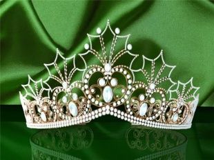 В Орле пройдет конкурс "Мисс Академия 2014"