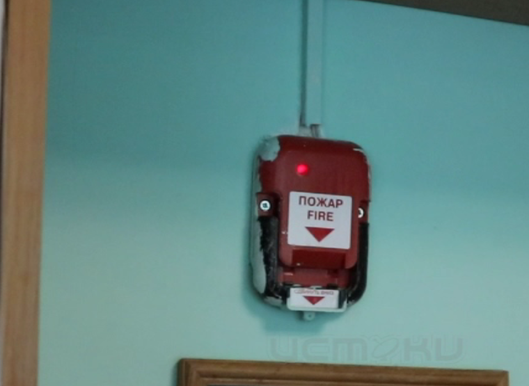 На сборы считанные минуты! В детском лагере "Елочка" эвакуировали детей. Спасатели провели тренировочные учения и рассказали присутствующим о поведении в экстренной ситуации