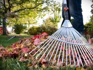 Орел готовится к большому субботнику