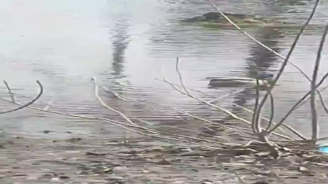 Орловчанин за видео с лужей-озером стал победителем нашего конкурса «Народный корреспондент»