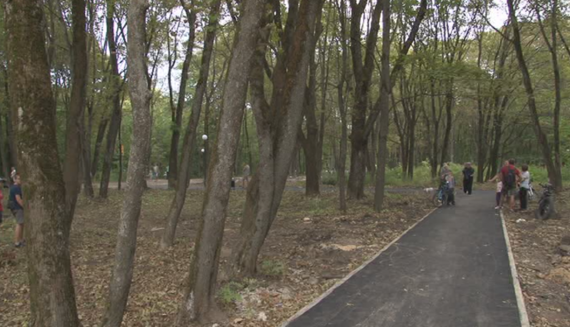 Депутат озвучил мэру Парахину просьбу навести порядок в парке Ботаника. Он опять зарос