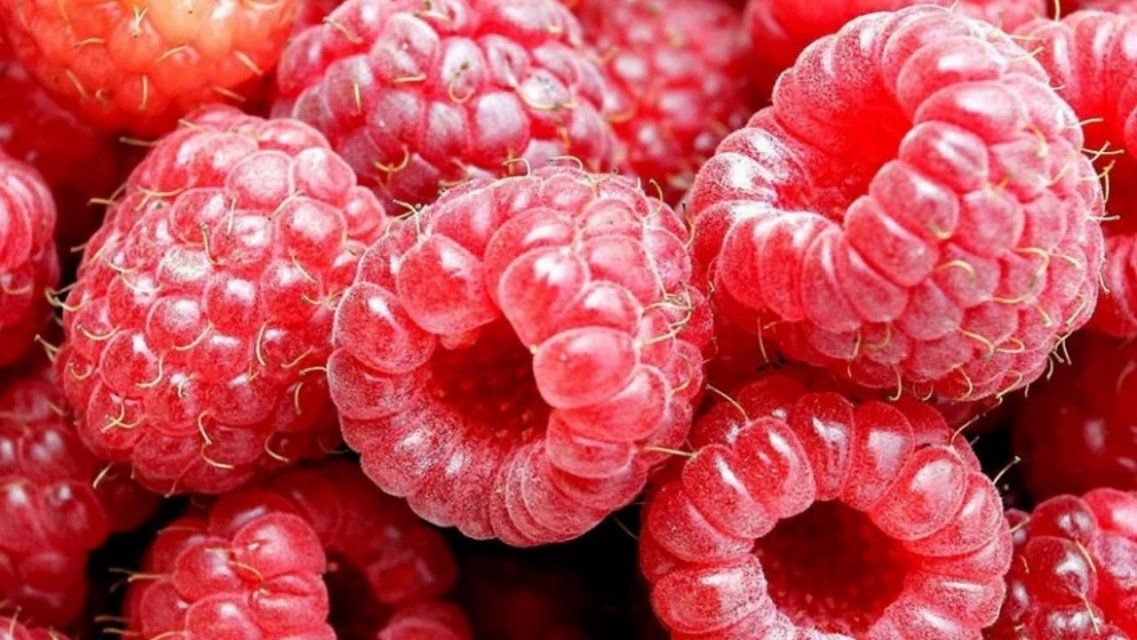 Вслед за «розовой» зимой россиянам пообещали «малиновое» лето