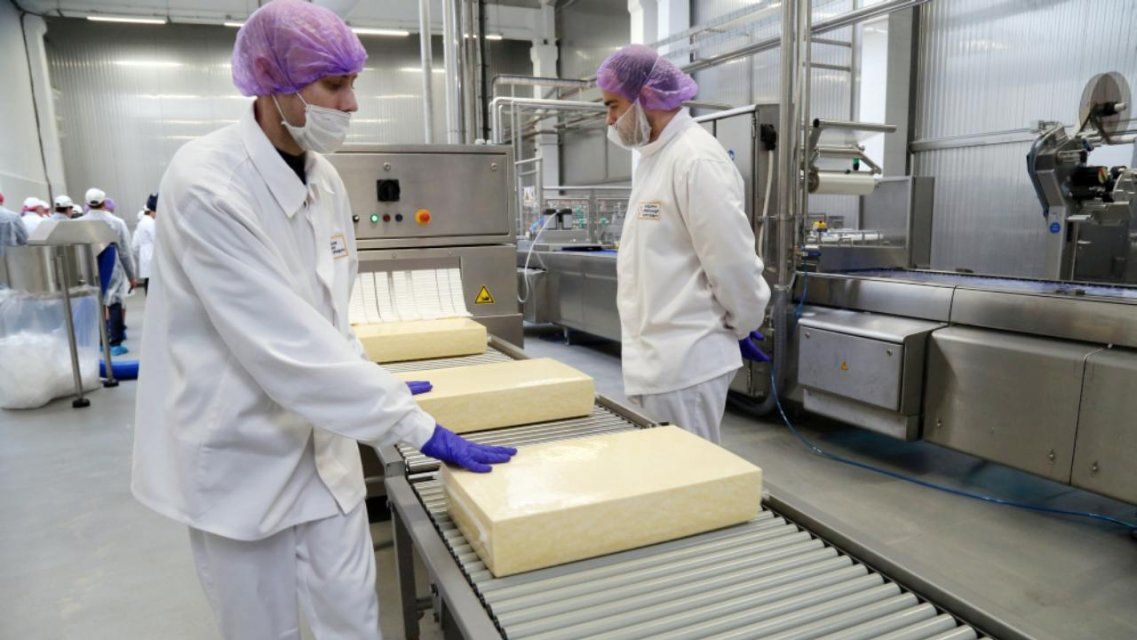 В Орле начали производить сыры на бывшей площадке Danone