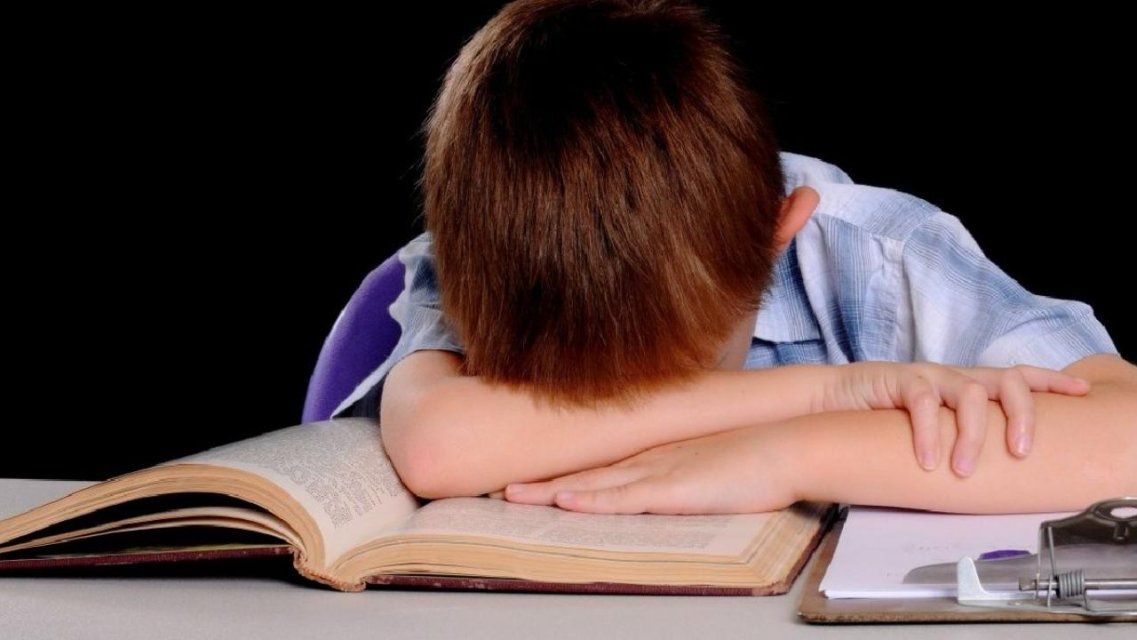 Орловские четвероклашки участвовали в международном исследовании PIRLS