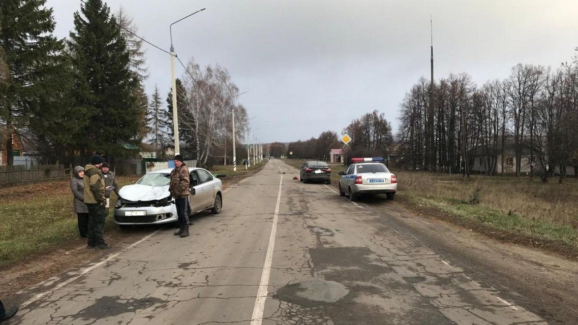 На Орловщине водитель «Фольксвагена» сбил корову