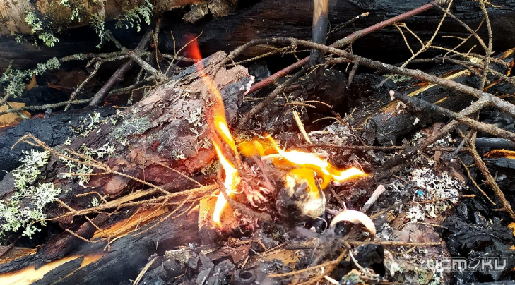 В Болховском районе ввели особый противопожарный режим