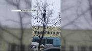Ледопад в Орле продолжается, новым начальником управления землепользования станет директор МУП «Коммунальник». Новости за 90 секунд
