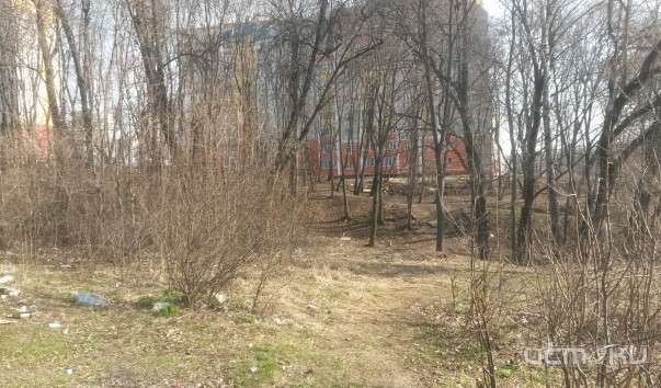 Александр Муромский совершил прогулку по парку «Ботаника»