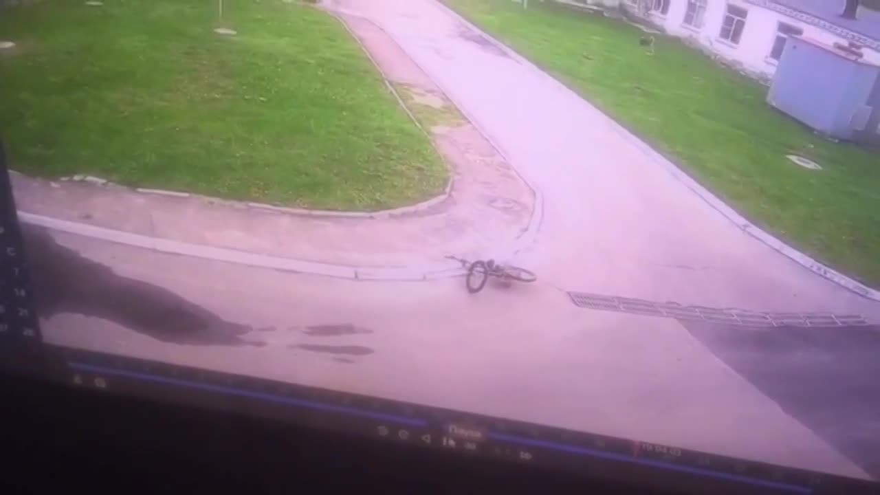 В Орле начали проверку по делу о нападении бродячих собак на мальчика