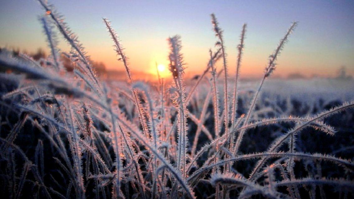 Станет еще холоднее: синоптики пообещали орловчанам заморозки 