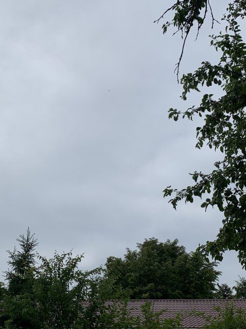 20 БПЛА сбито над Орловской областью за сутки