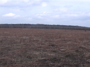 НЕподнятая целина: почему фермеры забывают о своих землях? 