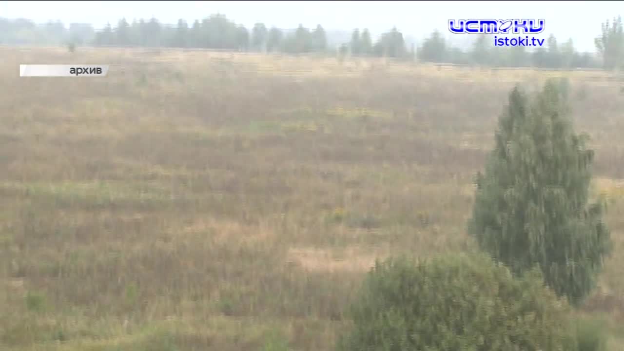 Чиновники назвали города, в которые можно будет улететь из аэропорта «Южный», стало известно место, где разместят филиал госфонда «Защитники Отечества...