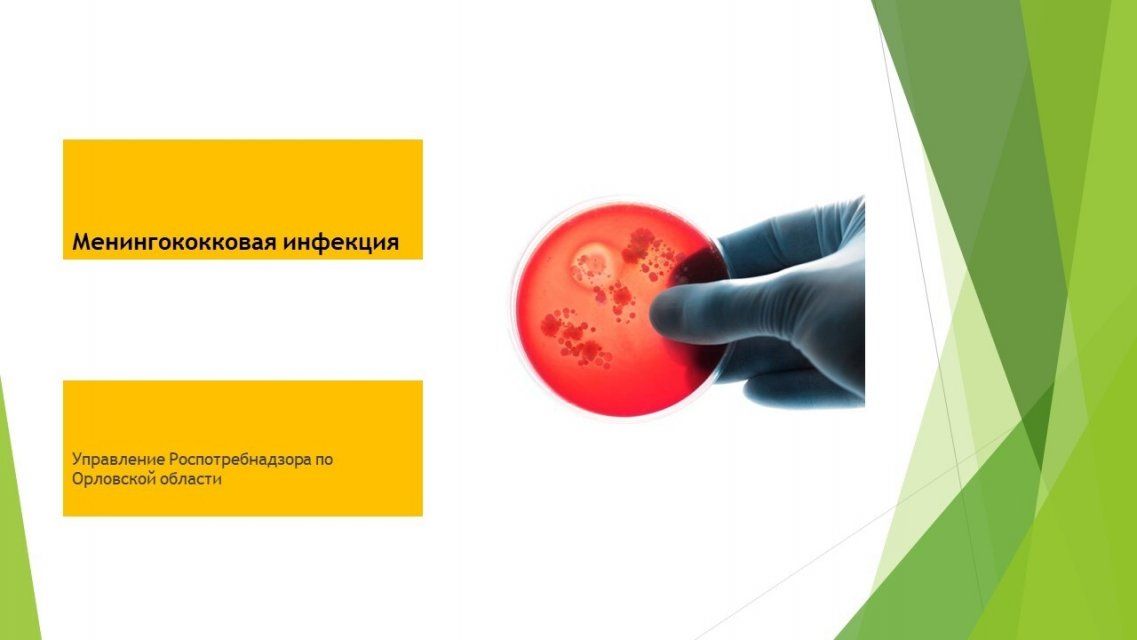 В орловском Роспотребнадзоре прокомментировали сообщения о вспышке менингита