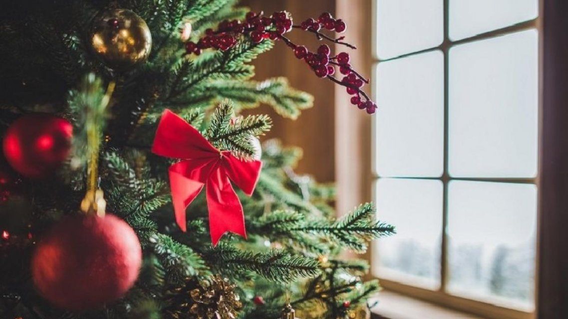 Смотрите в «Экспертном мнении»: какие елки украшают дома орловчан