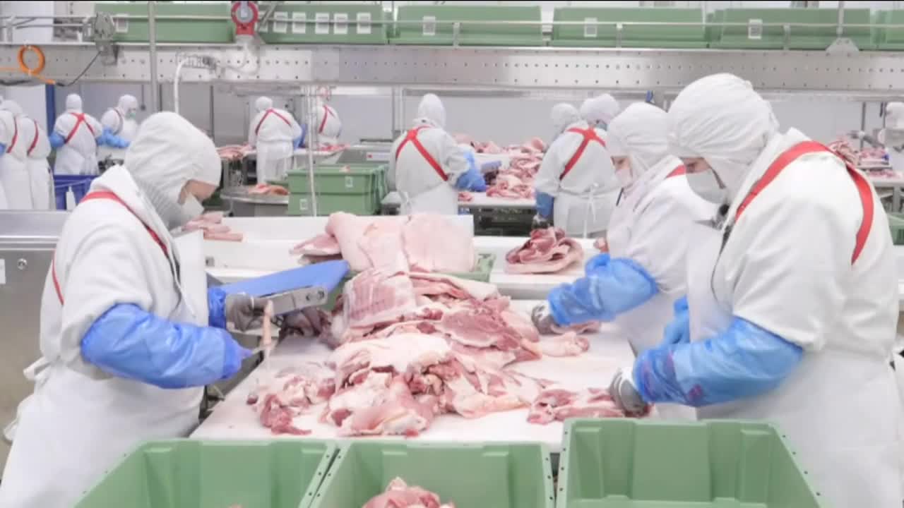 Экспертное мнение 25.06.19