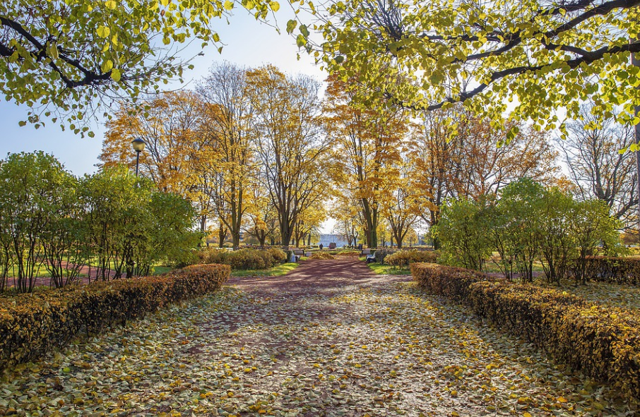 В Мценске благоустроят Фетовский сквер на 67 млн рублей